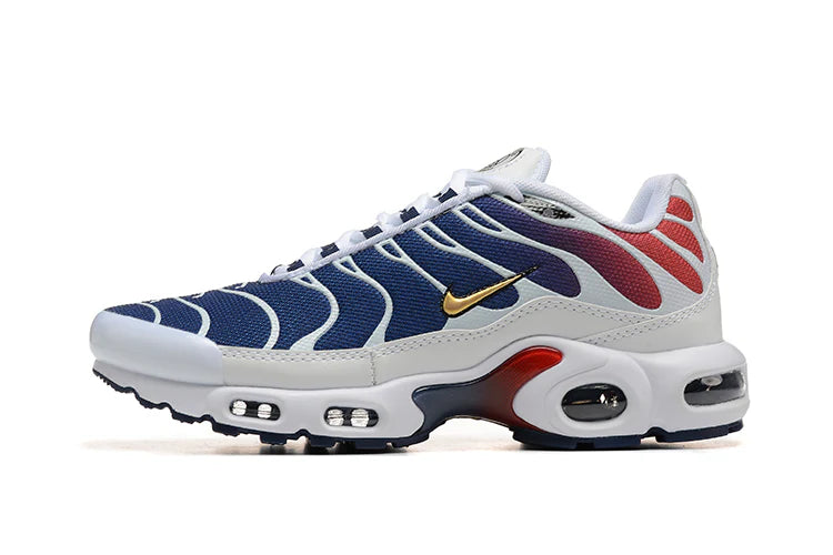 Nike Air Max TN - PSG (LIMITED EDITION)