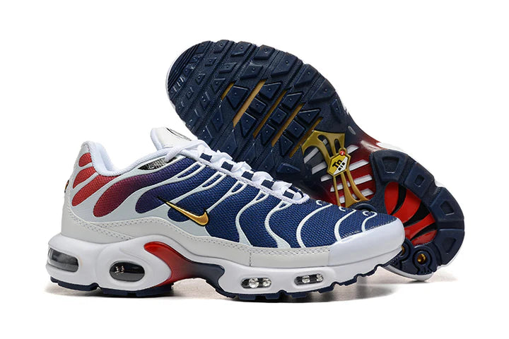 Nike Air Max TN - PSG (LIMITED EDITION)